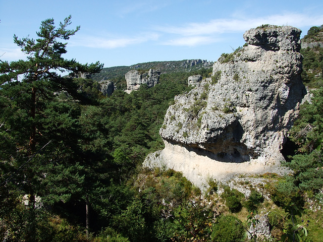 Larzac 137