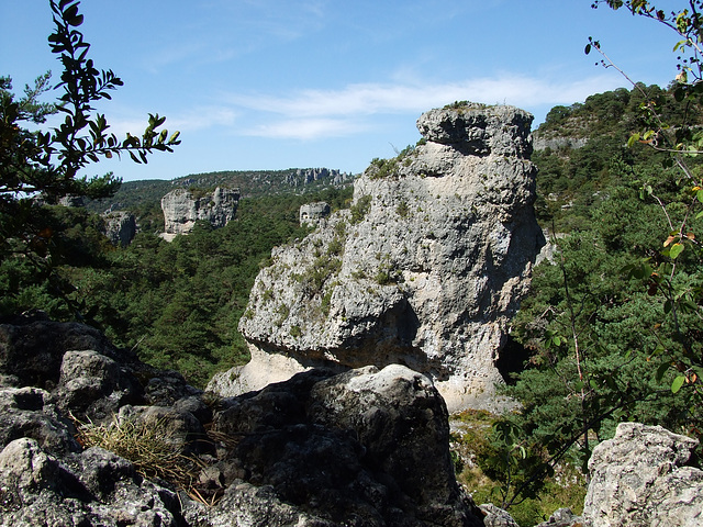 Larzac 138