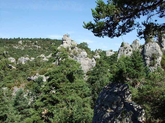 Larzac 139