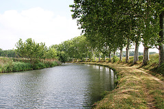 Canal du Midi en amont de Capestang