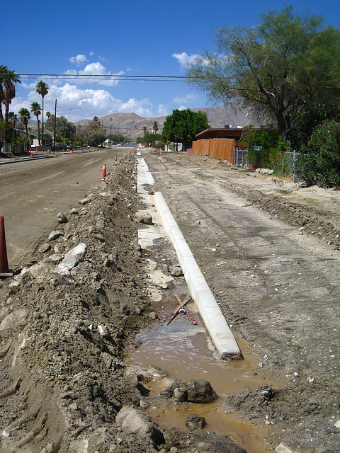 Cactus Drive Curb (6013)