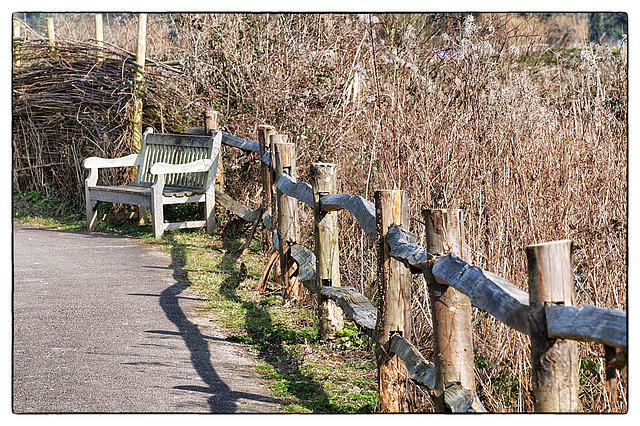 Fence and bench