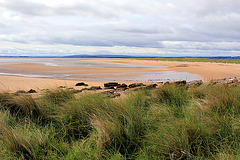 Strand an der Ostküste  Schottlands
