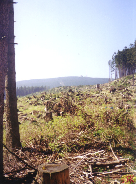 1999-05-01 2 Brocken mit Dieter