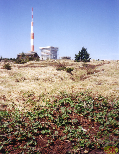 1999-05-01 6 Brocken mit Dieter