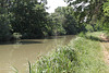 Canal du Midi entre Marseillette et l'écluse de l'Aiguille