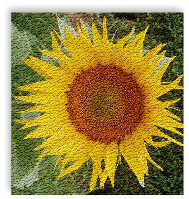 un tapis tournesol