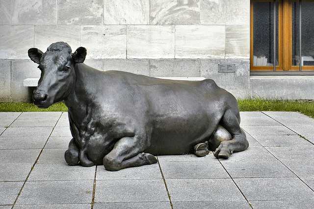 Claudia the Cow – Sherbrooke Street West, Montréal, Québec