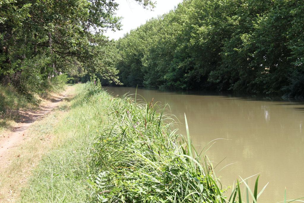 Canal du Midi entre Marseillette et l'écluse de l'Aiguille