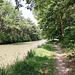 Canal du Midi entre Marseillette et l'écluse de l'Aiguille