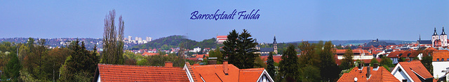 Fulda-Panorama