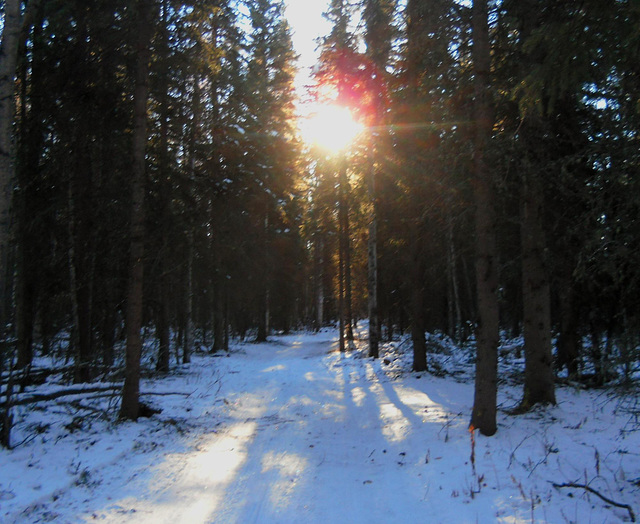 Headin' home along the trail