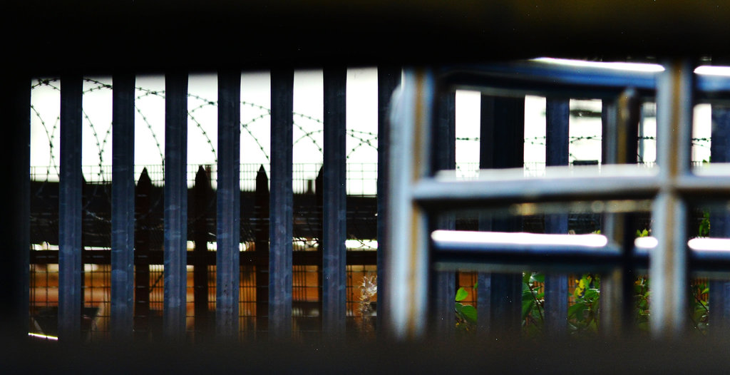 A view through