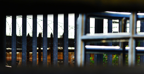 A view through