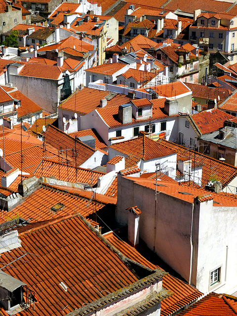Lisbon X10 Rooftops 1