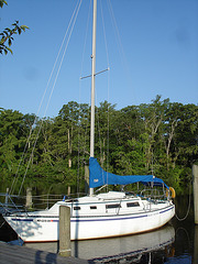 Blue tattoo sail boat /  Le voilier au tatouage bleu - Pocomoke scenic river - Maryland, USA - 18 juillet 2010