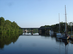 Pocomoke scenic river - Maryland, USA - 18 juillet 2010