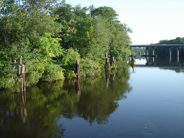 Pocomoke scenic river - Maryland, USA - 18 juillet 2010