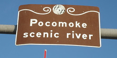 Pocomoke scenic river - Maryland, USA - 18 juillet 2010 - Recadrage