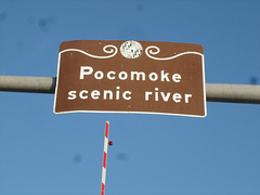 Pocomoke scenic river - Maryland, USA - 18 juillet 2010 - Photo originale