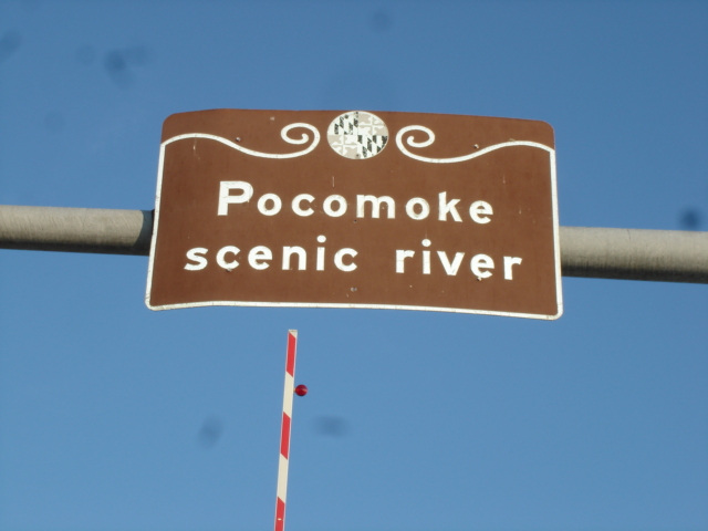 Pocomoke scenic river - Maryland, USA - 18 juillet 2010 - Photo originale