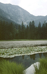 BGL 0208 60w Ramsau, Taubensee