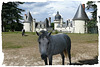 Gué-Péan (Sologne)