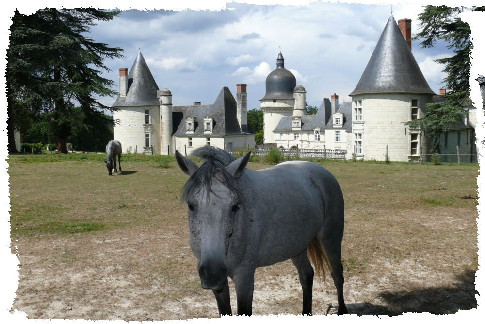 Gué-Péan (Sologne)