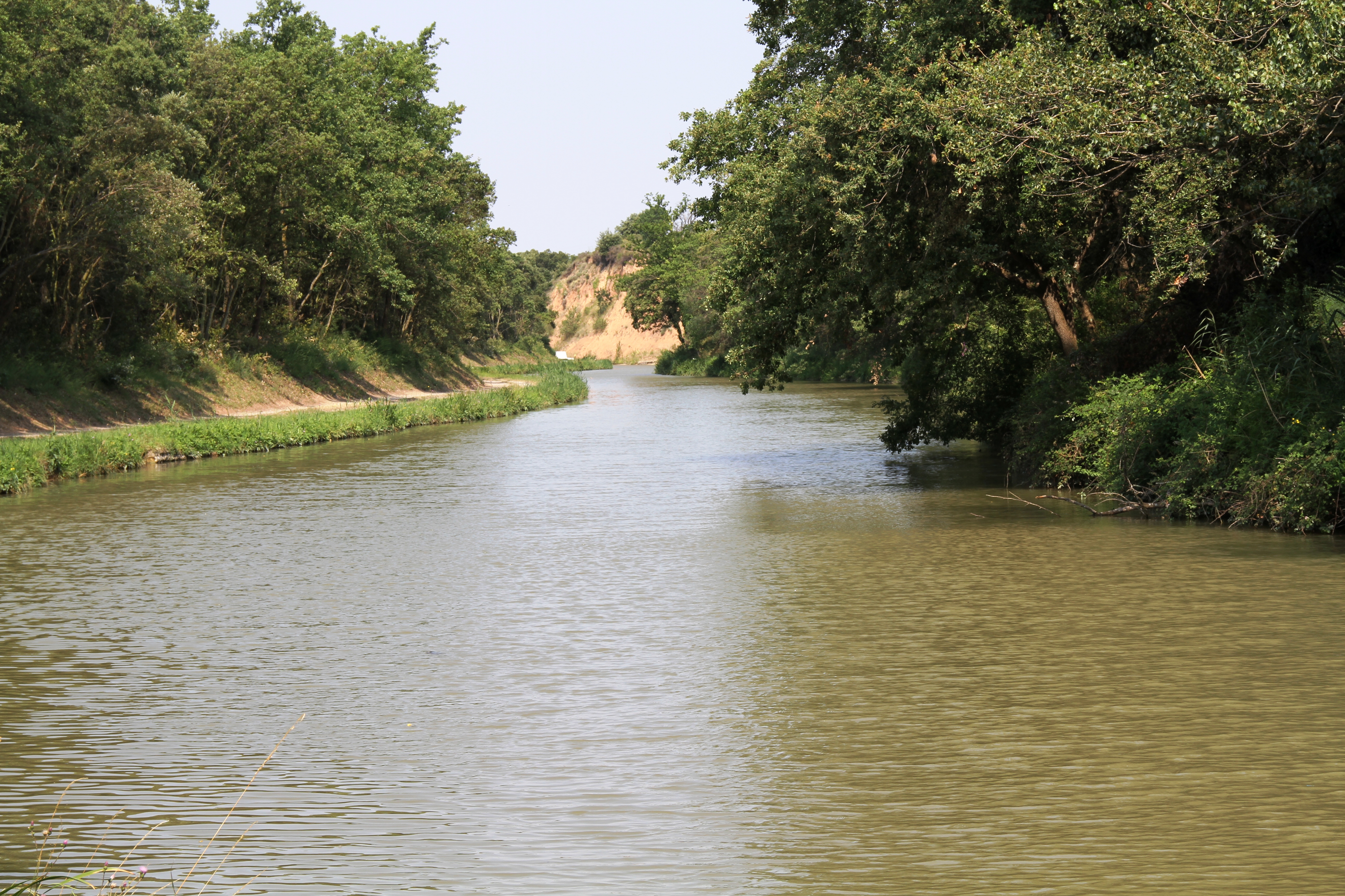 Canal du Midi avant Marseillette