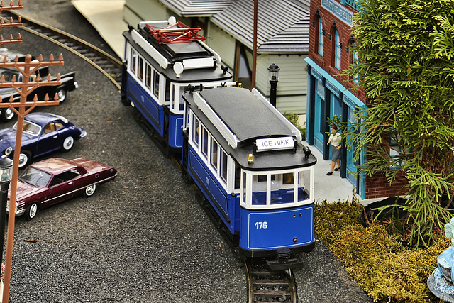 Ice Rink Streetcar – Brookside Gardens