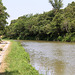 Canal du Midi avant Marseillette