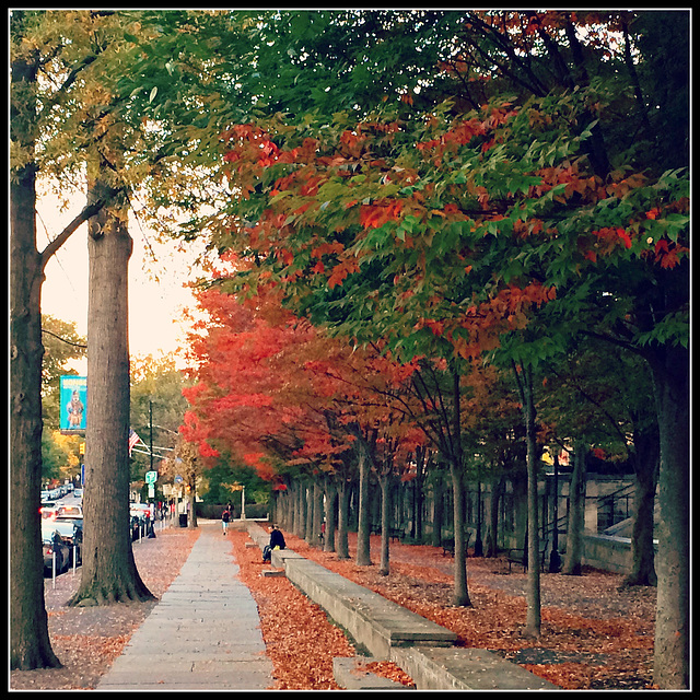 Princeton Fall