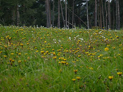 2013060102 VTT St Alban sur Limogne (28) Ledge