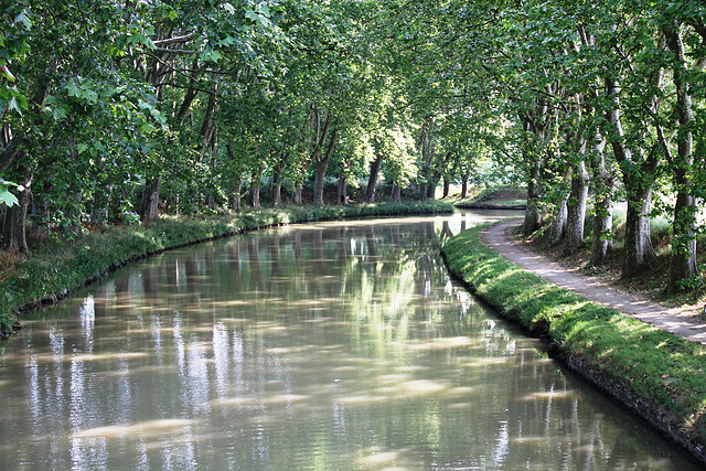 Canal du Midi entre Villedubert et Trèbes