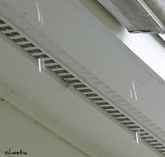 Raindrops from the eaves..