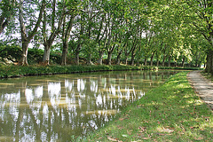 Canal du Midi entre Villedubert et Trèbes.