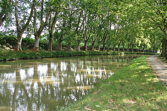 Canal du Midi entre Villedubert et Trèbes.