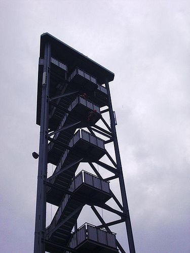 DSCI0154
