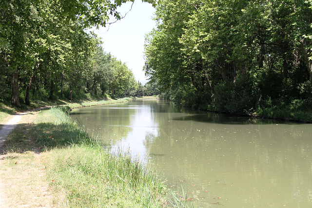Canal du Midi près de Sauzens