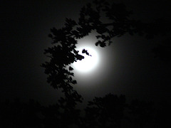 ... und der Mond scheint helle