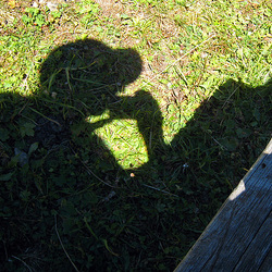 Schatten trägt auf ...