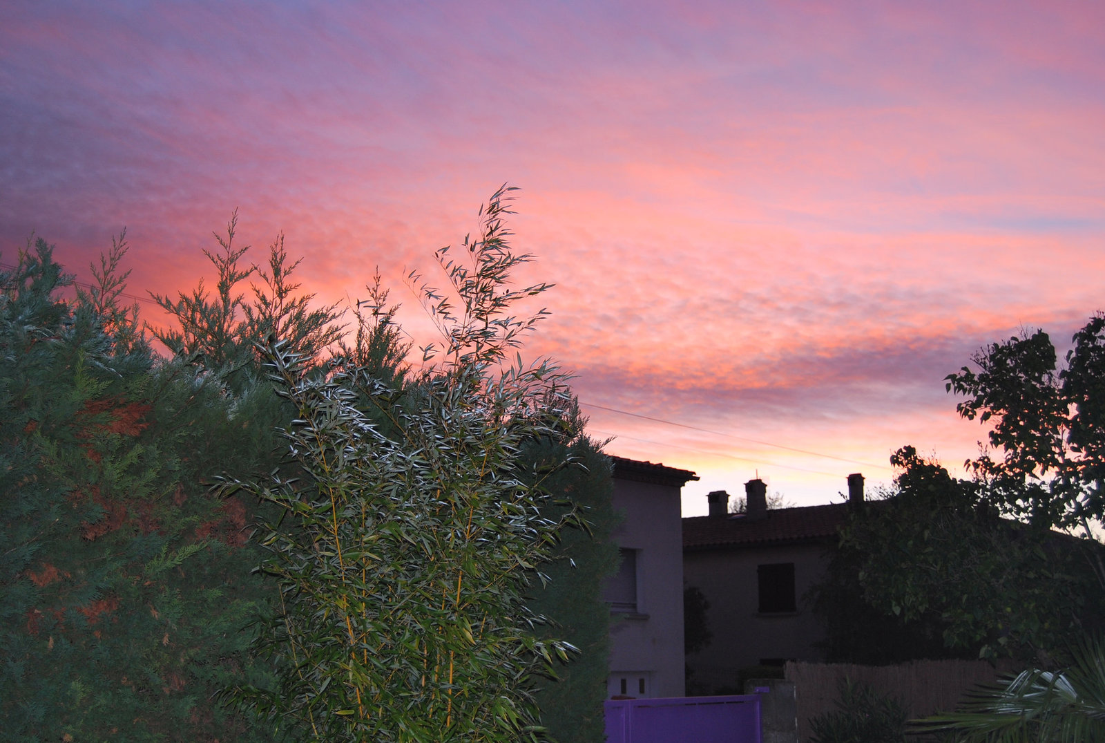 Limoux au petit matin 001