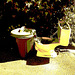 Bol de toilette botanique avec poubelle /  Botanical toilet bowl & garbage - Dans ma ville / In my hometown, Québec, CANADA. 15-07-2009- Sepia postérisé