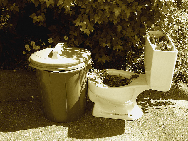 Bol de toilette botanique avec poubelle /  Botanical toilet bowl & garbage - Sepia