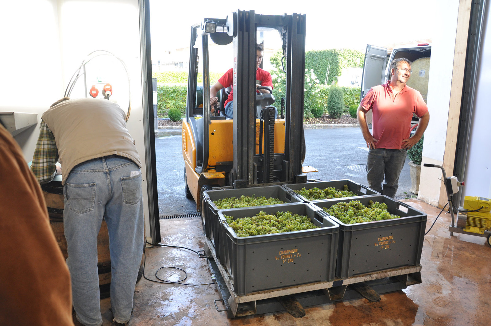 CHAMPAGNE VENDANGES