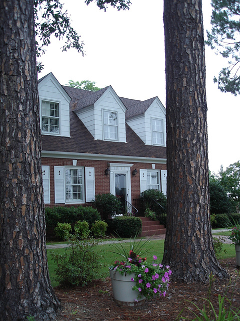 La maison numéro 260 /  House 260 - Hamilton, Alabama. USA - 10 juillet 2010