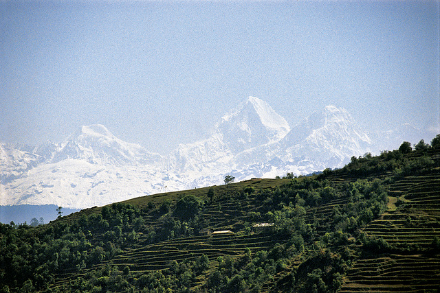 Himalaya