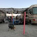Front End Of Our Camp (7538)