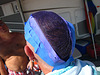 Purple Hair Color (1244)