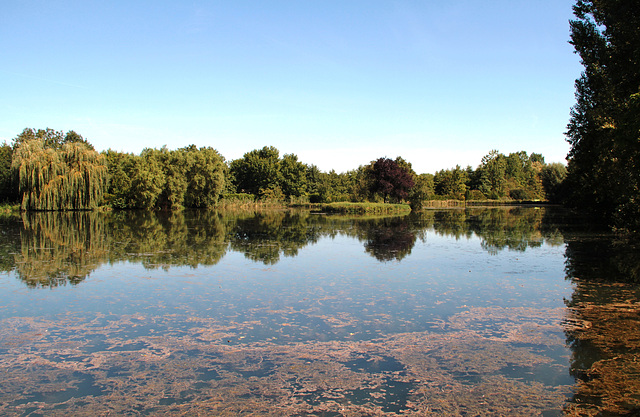 Etang de la "Guinguette de par-ci par-là"